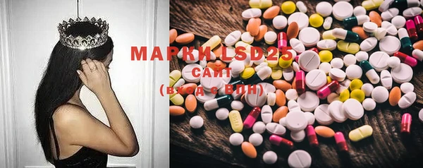 стафф Медвежьегорск